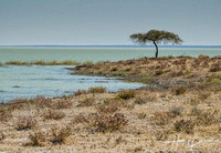 Namibian Landscapes